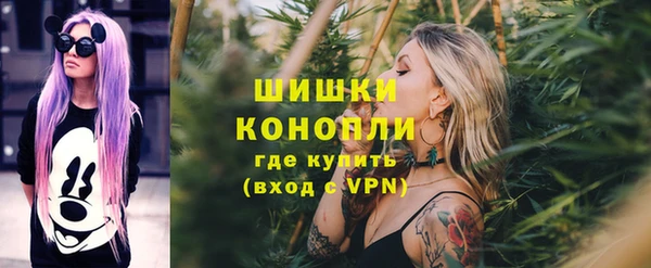 мяу мяу кристалл Корсаков