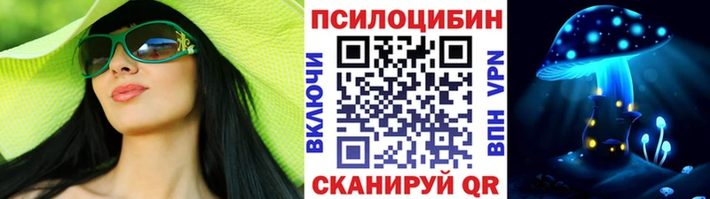 продажа наркотиков  Котлас  Псилоцибиновые грибы Cubensis 