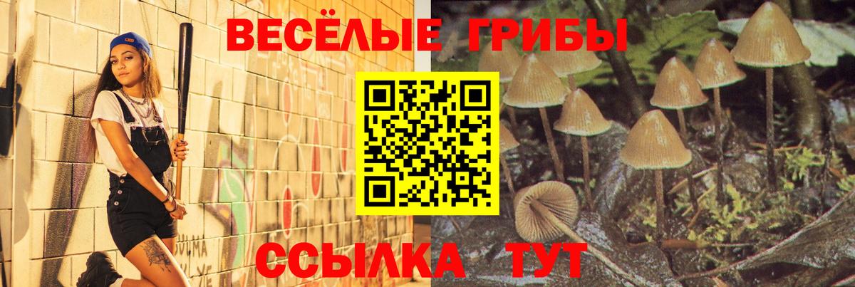 Галлюциногенные грибы прущие грибы  Вход с VPN  где найти   Котлас 